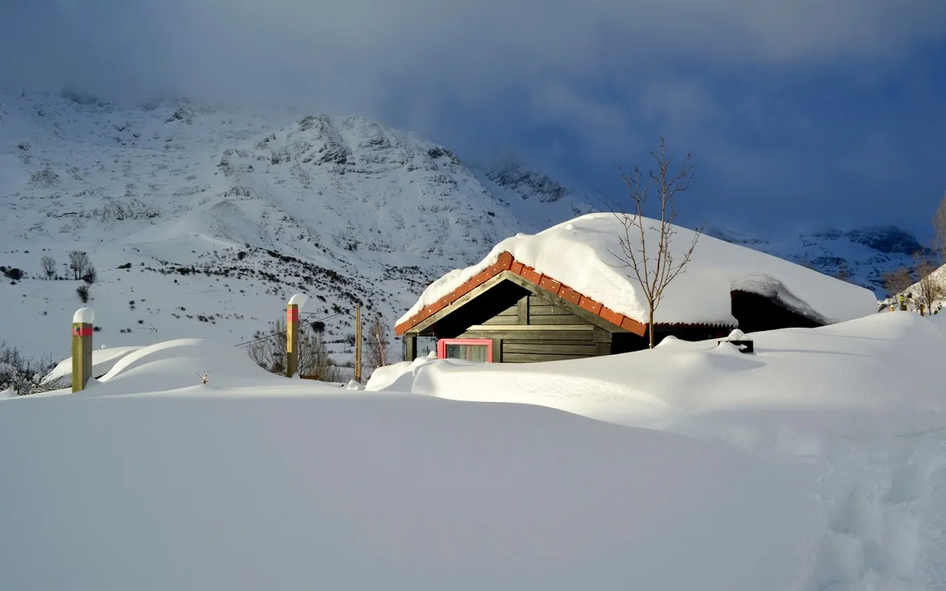 Cabañas Patagónicas