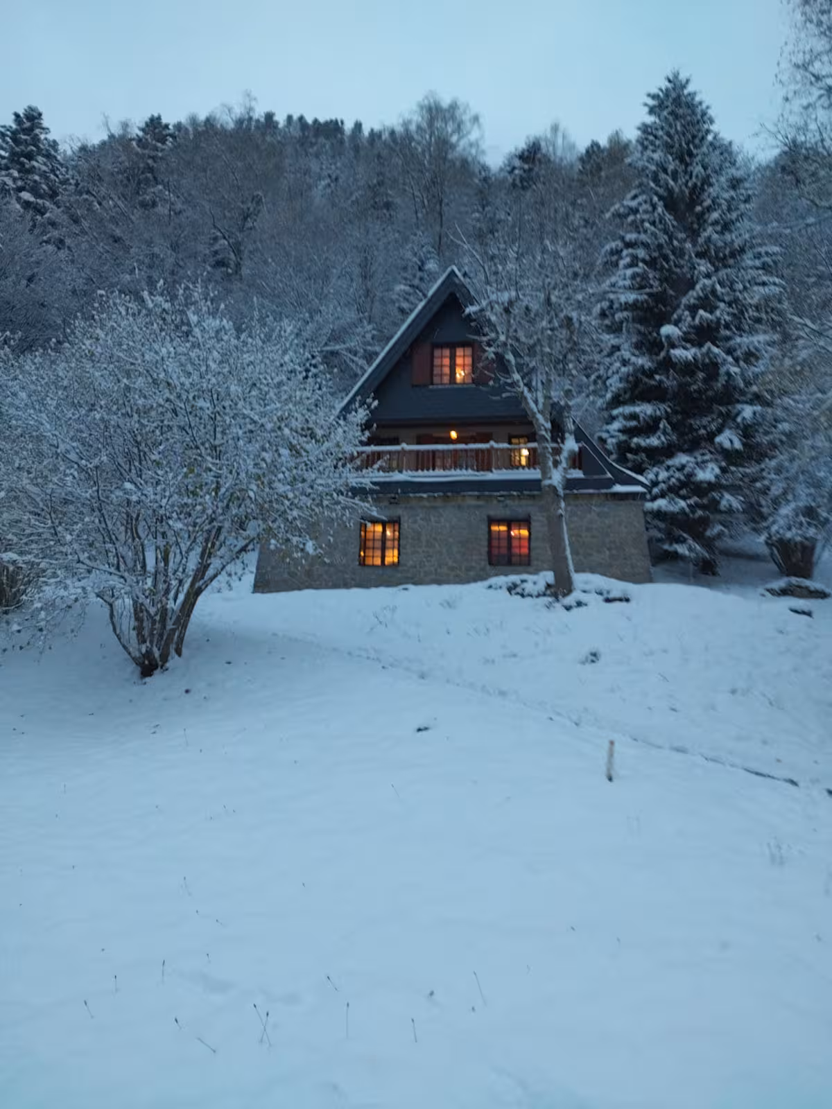 Chalet en Gabas, Laruns